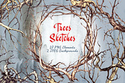 Trees Sketches, an Illustration by Nadiia Hanina (Thumbnail 1 of 5)