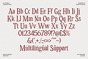 Retropicale - Classic Serif Font, a Serif Font by Unicode Studio (Thumbnail 16 of 18)