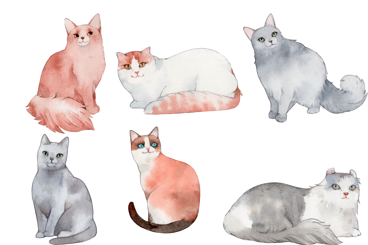 50 Hand-drawn Watercolor Cats, an Animal Illustration by ArtbyHien (Photo 2 of 7)