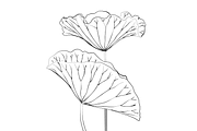 Lilies and Lotus Florals, an Object Graphic by VictoriaKStudio (Thumbnail 7 of 10)