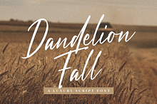 Dandelion Fall - Script Font