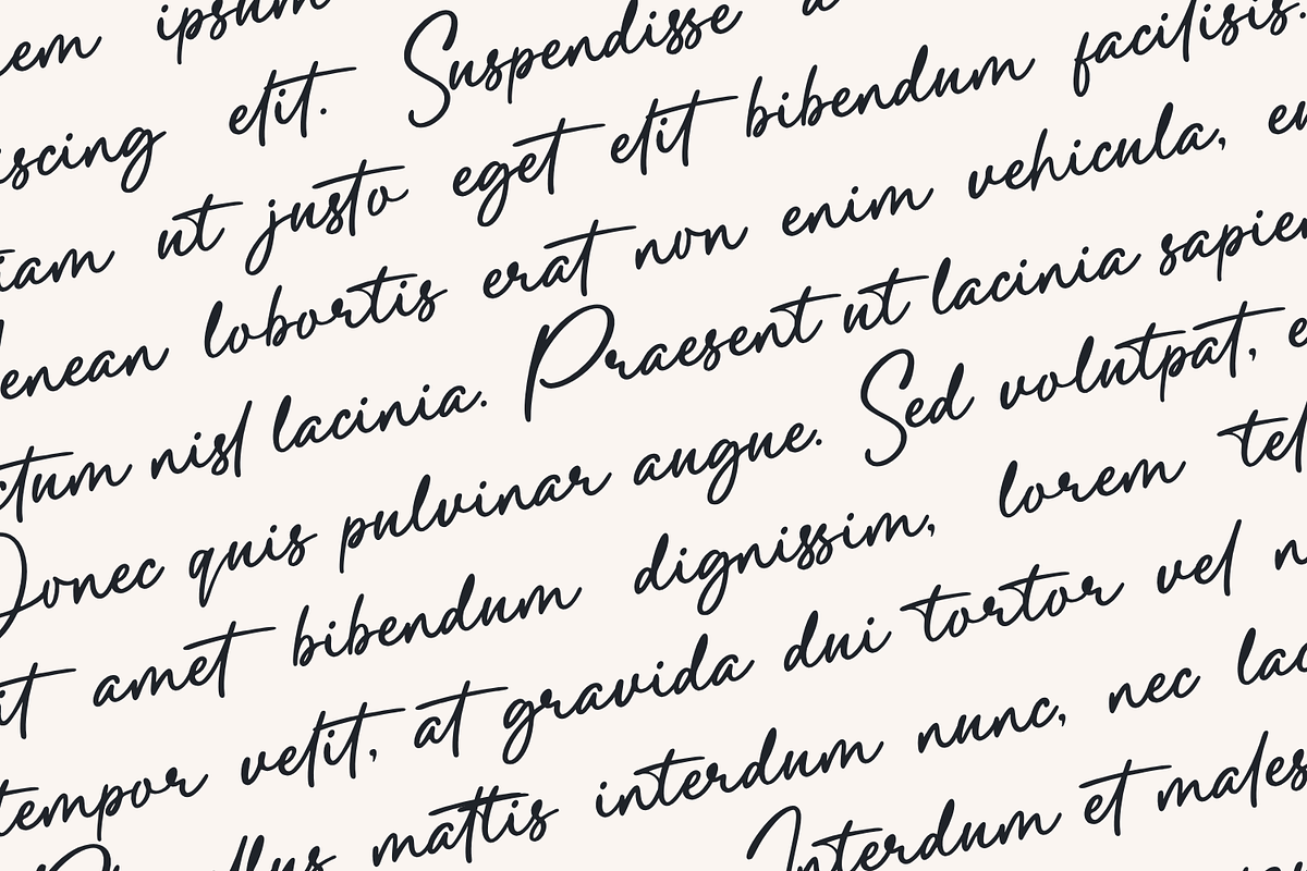Palloma a Signature Font, a Handwritten Font by Basnistudio (Photo 7 of 17)
