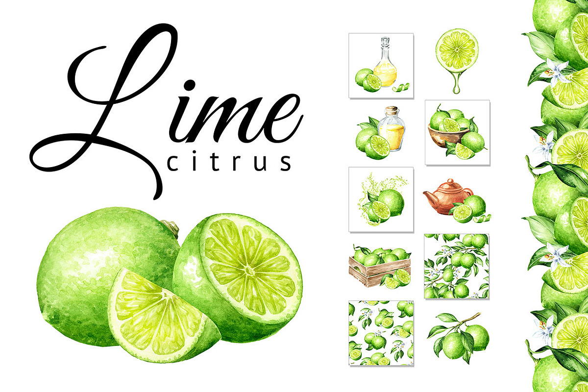 Lime citrus. Watercolor collection, a Food Illustration by Daria Ustiugova (Photo 1 of 21)