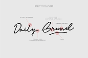 Balig Script -Elegant Signature Font, a Script Font by Panatype™ Studio (Thumbnail 6 of 9)