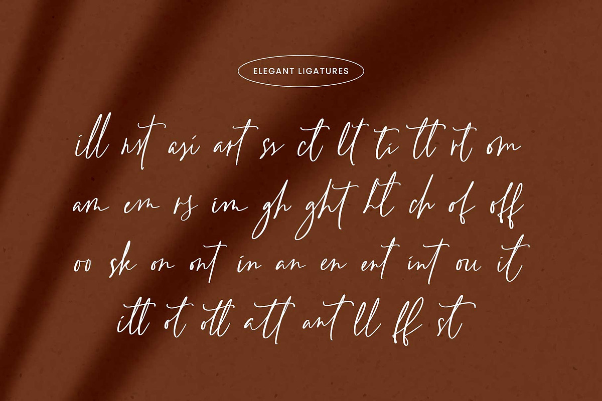 Rainylight - Handwriting Script, a Script Font by Arterfak Project (Photo 13 of 13)