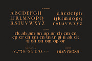 Galgin Elegant Serif Font, a Serif Font by Perfectype (Thumbnail 8 of 8)