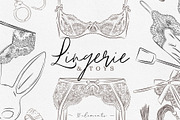 Lingerie And Toys | Creative Market