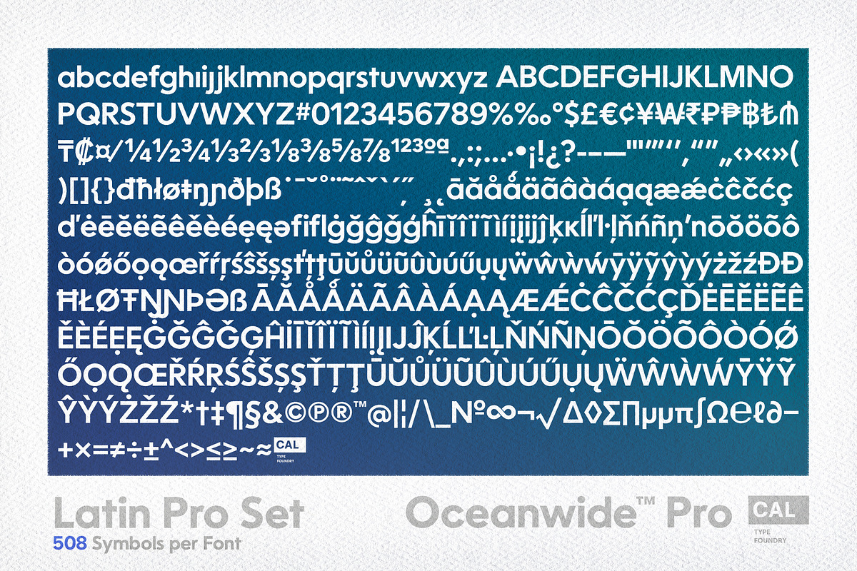 Oceanwide Pro Family, a Sans Serif Font by California Type Foundry (Photo 10 of 13)