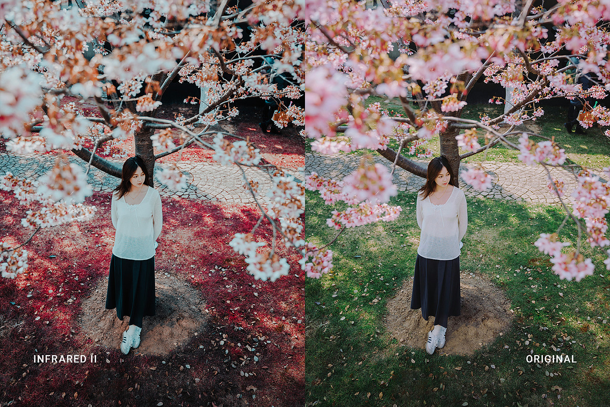 Infrared II, a Preset Add-On by colorituals (Photo 5 of 8)