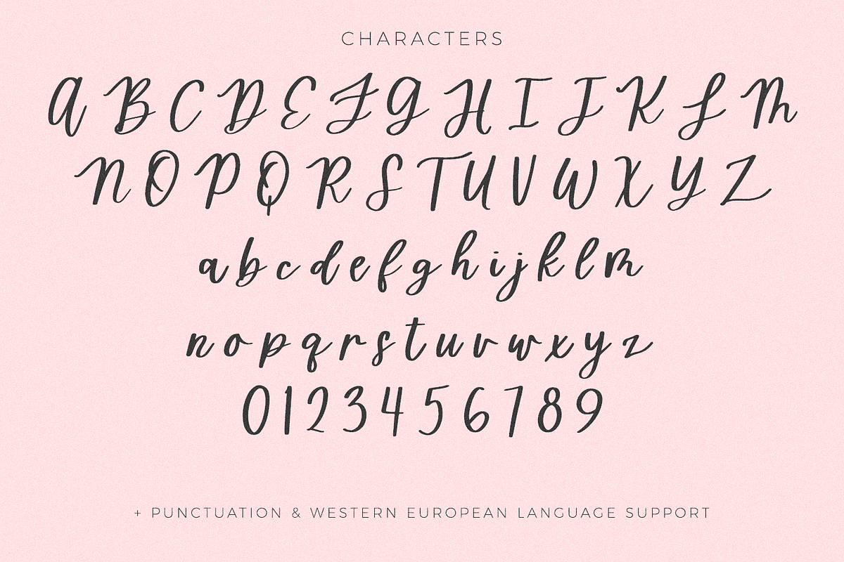Homeward Script, a Script Font by Beck McCormick (Photo 10 of 10)