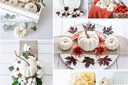 Fall Color Bundle Stock Photos, a Background Photo by SunnyTangerine Stock (Thumbnail 10 of 10)