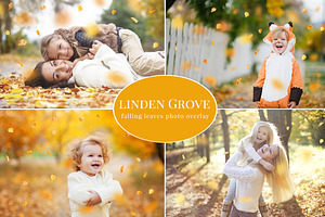 Linden Grove-falling Leaves Overlay