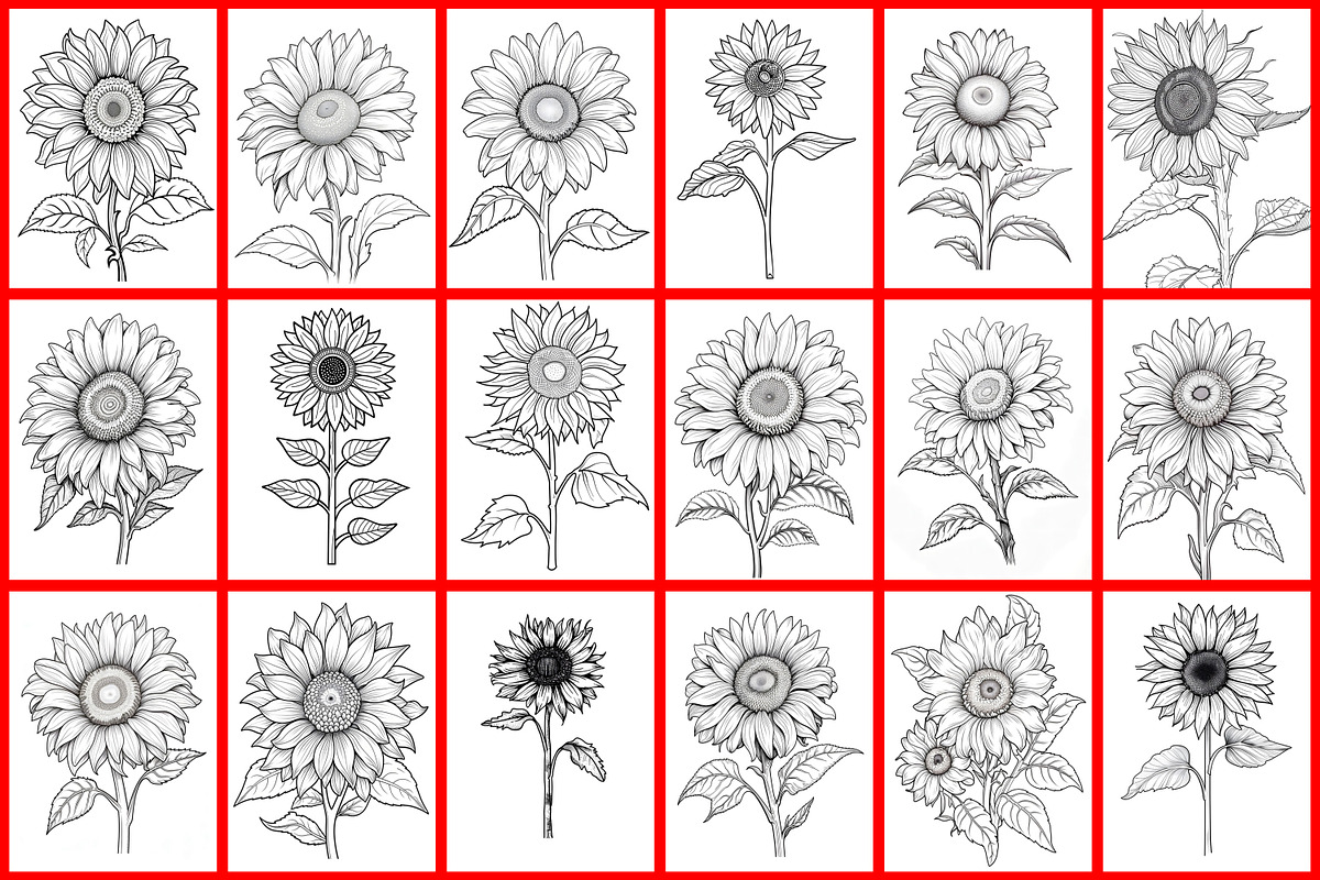 Sunflower Coloring Page, a Graphic by Forhadx5 (Photo 4 of 7)