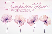 Watercolor Translucent Flower Vector, a Pattern Graphic by Deckar_art (Thumbnail 1 of 5)