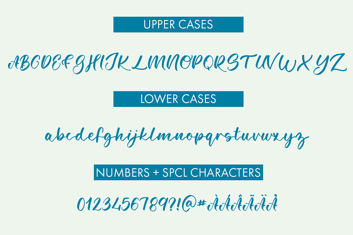 Scotch Argus Butterfly Script Font, a Handwritten Font by Freeling Design House (Photo 2 of 6)