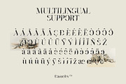 Broger Display, a Serif Font by Damelev (Thumbnail 10 of 10)
