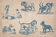 32 Hand Drawn Dogs and Puppies, an Animal Illustration by Mr Vintage (Thumbnail 5 of 5)