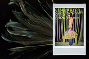 Moire: Backgrounds & Mesh Overlays, a Texture Graphic by Anastasiia VNSK (Thumbnail 13 of 20)