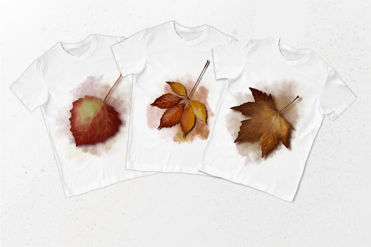 Autumn leaves set, a Decorative Illustration by AfieArt (Photo 6 of 7)