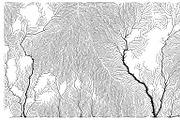 Growth - 50 Backgrounds, a Texture Graphic by GarryKillian (Thumbnail 44 of 51)