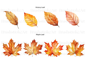 Fall Leaves Clipart, Autumn Leaf PNG