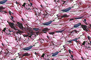 Oil painting seamless patterns., a Pattern Graphic by TaPilipa (Thumbnail 7 of 15)