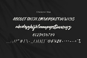 Block Brick Script Font, a Script Font by Violet Natural (Thumbnail 10 of 11)
