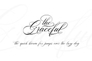 Martha Ruth Script, a Script Font by Realtype (Thumbnail 4 of 9)