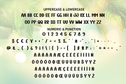 Sunshine | Script Font, a Script Font by Scratchones (Thumbnail 7 of 8)