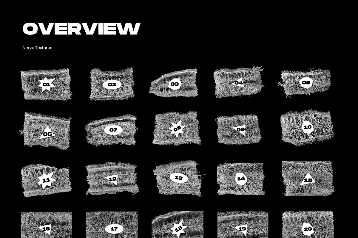 Nerve Textures, a Texture Graphic by ZUITag (Photo 8 of 9)