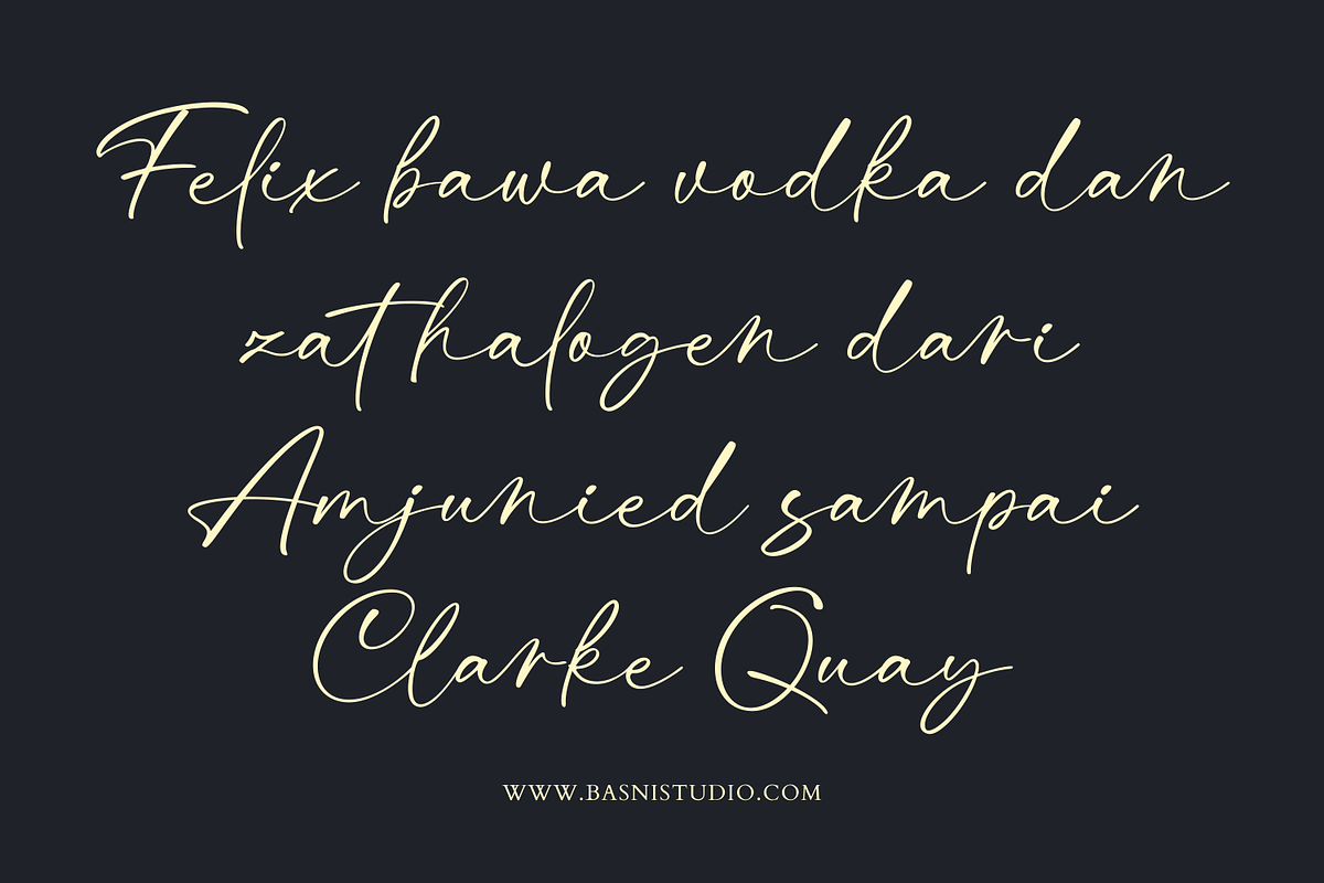 Dialtones - Casual Handwritten Font, a Handwritten Font by Basnistudio (Photo 5 of 14)