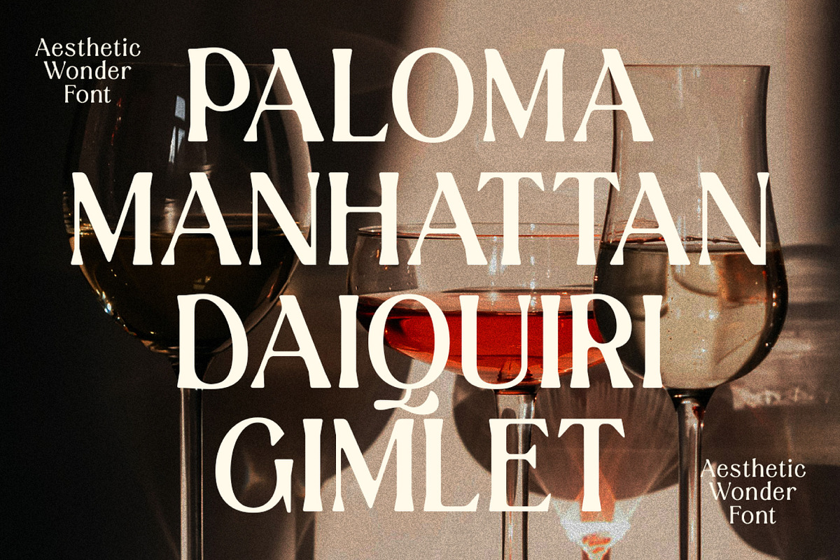 Aesthetic Wonder - Modern Aesthetic, a Serif Font by Prioritype Co (Photo 5 of 20)