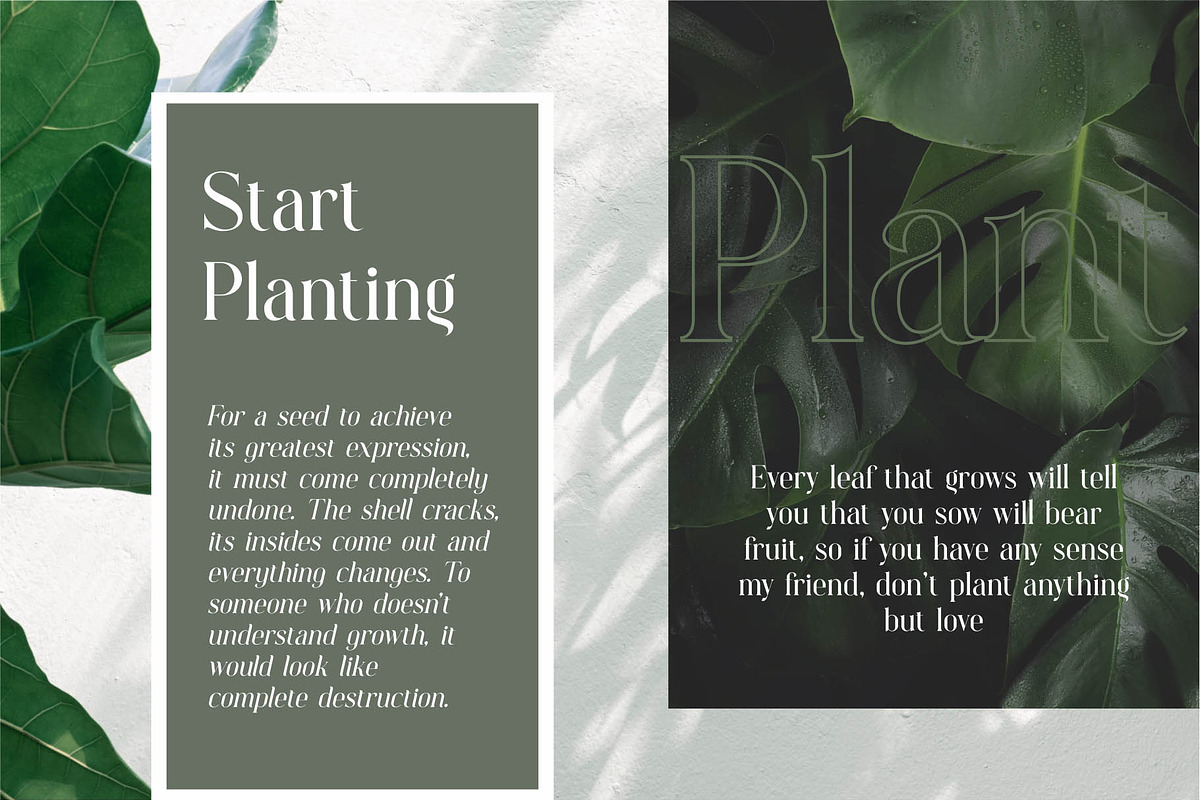 Magnity Style Serif Typeface Font, a Serif Font by Dylla_studio (Photo 6 of 16)
