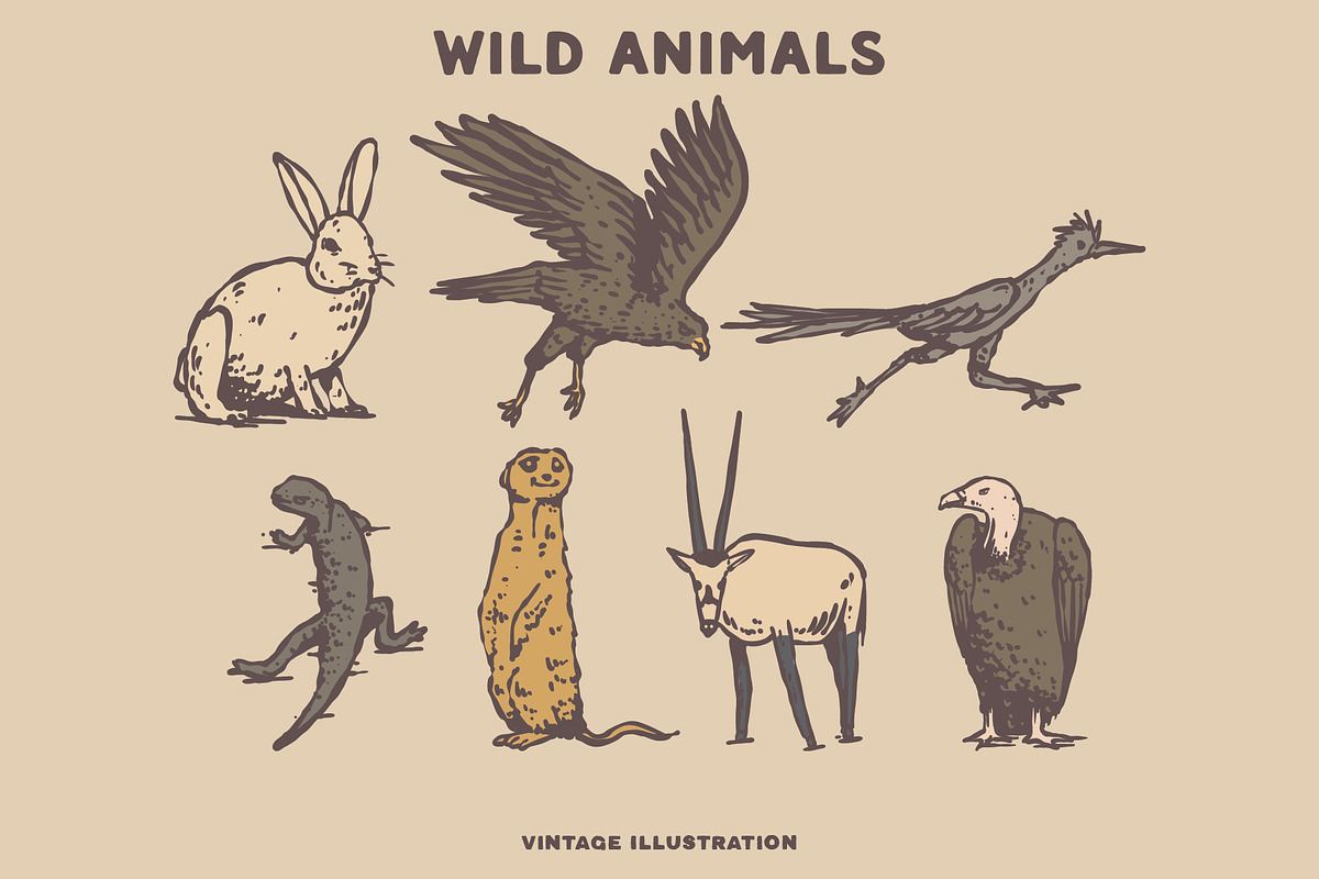 Outdoor Vintage Collection Vol 1, a Seasonal Illustration by rbcs_vibes (Photo 10 of 28)