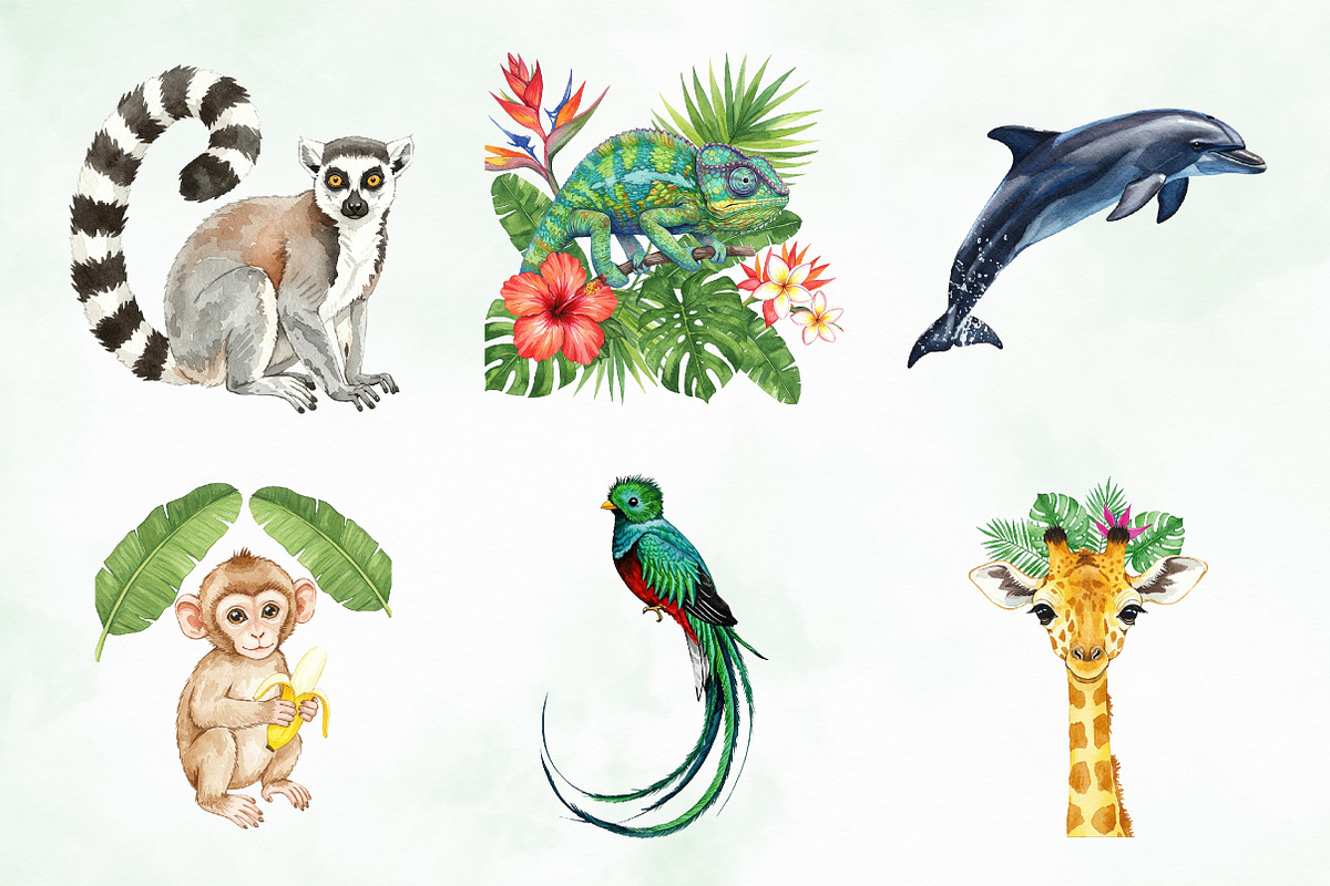 Watercolor Tropical Animals Clipart, an Illustration by Creative Art (Photo 3 of 9)
