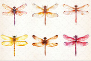 Autumn Dragonfly Clipart, an Illustration by Rose Art (Thumbnail 3 of 7)