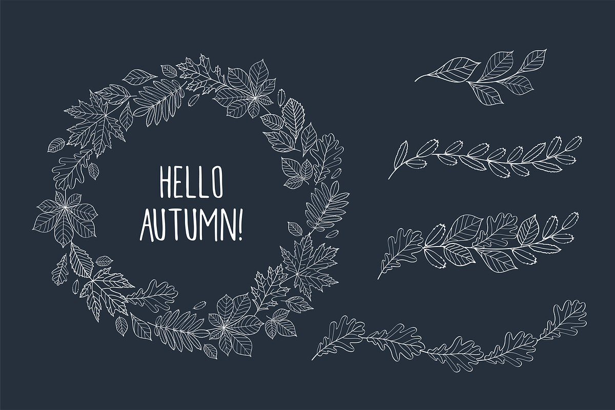 Hand drawn leaves of different trees, a Decorative Illustration by Tkoko vectors & patterns (Photo 9 of 14)