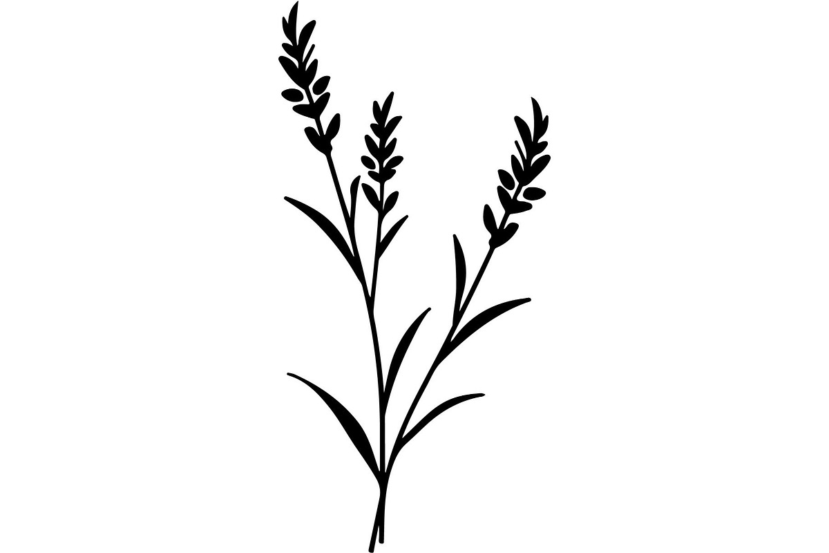 Decorative Tribal Feather Vector, an Object Graphic by Designer_Momina (Photo 17 of 18)