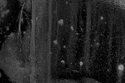 Blue rusted metal textures, a Texture Graphic by The Shop (Thumbnail 18 of 30)