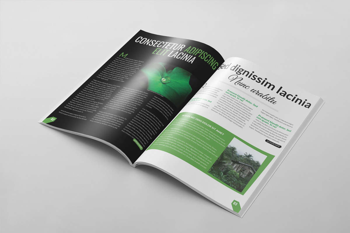 Magazine Template 49, a Magazine Template by pmvch (Photo 16 of 25)