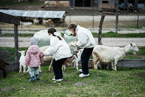 Children feeding goats at a rural petting zoo on a family farm, two girls and a, a Person Photo by AS photostudio