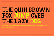 Rofane Mono, a Serif Font by Muksal Creative (Thumbnail 9 of 13)