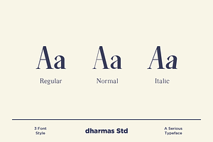 Average - Modern Serif Typeface