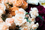 Modern Blush Wedding Bundle, a Print Template by LaPorte Images (Thumbnail 11 of 15)
