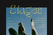 Stager - Unique Classy Serif, a Serif Font by Dharmas Foundry (Thumbnail 6 of 15)