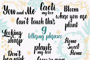 Cacti and succulents design set 140+, an Object Graphic by Live line (Thumbnail 5 of 8)