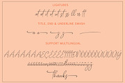 SOUTH BOSTON, a Script Font by AMINMARIO (Thumbnail 10 of 11)