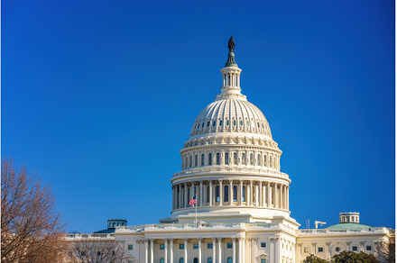US Capitol at sunny day, an Architecture Photo by sborisov