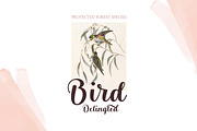 Belita, a Script Font by Gatype (Thumbnail 6 of 9)