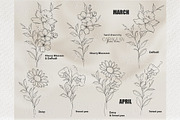 Birth Flowers Outline Stamps, a Brush Add-On by CaraulanStore (Thumbnail 3 of 9)